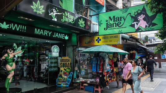 🇹🇭🌿 Cannabis in Thailand: Vom Hoffnungsträger zum Rückschritt? GreenBlog #9