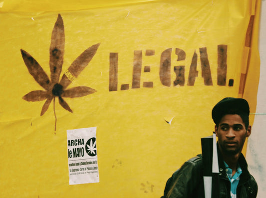 GreenBlog#7 Portugal & Cannabis: What Decriminalization Really Means