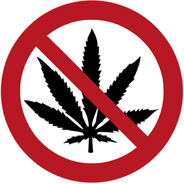 GreenBloq #8 - 🇹🇭 Neue Cannabis-Gesetze in Thailand: Was du jetzt wissen musst