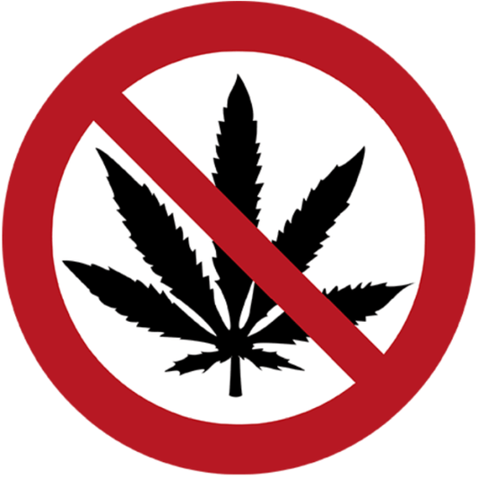 GreenBloq #8 - 🇹🇭 Neue Cannabis-Gesetze in Thailand: Was du jetzt wissen musst